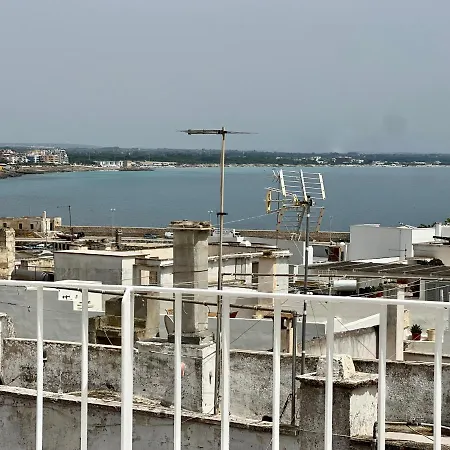 Platinum * Gallipoli